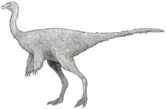 alternativní popis obrázku chybí