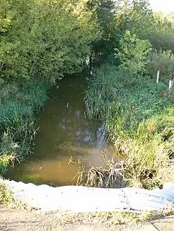 Rausvė na horním toku u vsi Gižai od silnice E28/A16. Pohled proti proudu (na jih)