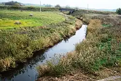 Rešketa u silnice č. 160 Varniai - Telšiai