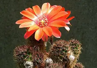 alternativní popis obrázku chybí