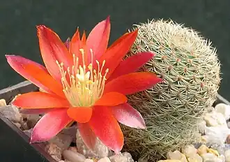 alternativní popis obrázku chybí