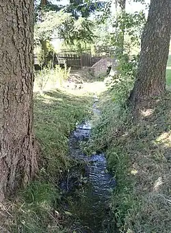 Řečický potok pod hrází Višťanského rybníka v obci Řečice