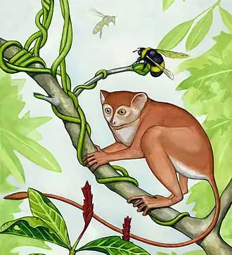 popis obrázku chybí