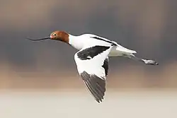 alternativní popis obrázku chybí