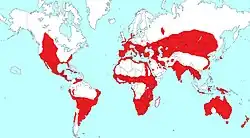 Areál rozšíření