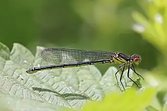 alternativní popis obrázku chybí