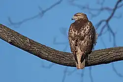 alternativní popis obrázku chybí