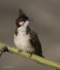 alternativní popis obrázku chybí