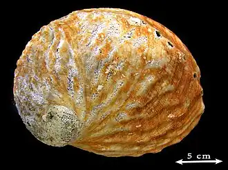 alternativní popis obrázku chybí