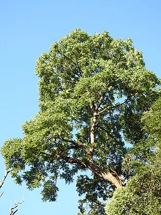 alternativní popis obrázku chybí