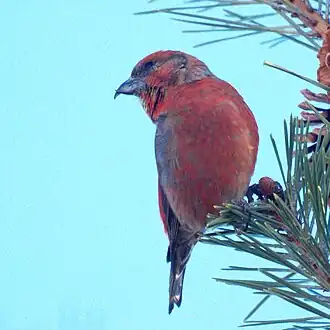 alternativní popis obrázku chybí