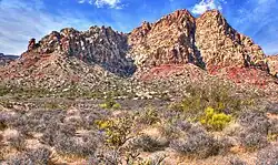 řídká a nízká křovina v kamenité polopoušti