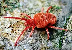 alternativní popis obrázku chybí