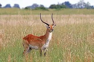 alternativní popis obrázku chybí