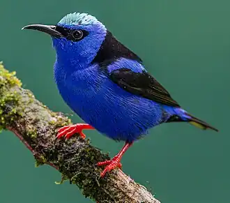 alternativní popis obrázku chybí