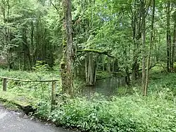 Hraniční potok v opuštěné vesnici Hraničky