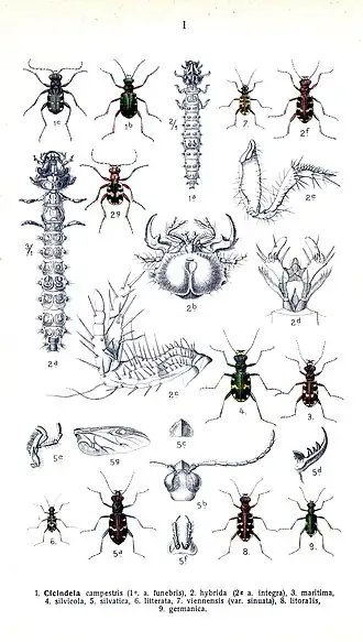 alternativní popis obrázku chybí