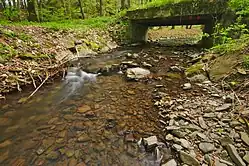 Repešský potok před soutokem s Hloučelou