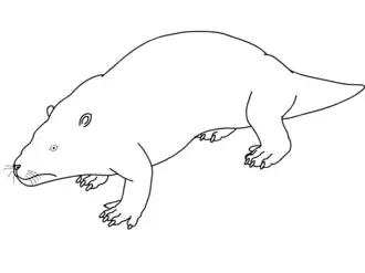 alternativní popis obrázku chybí