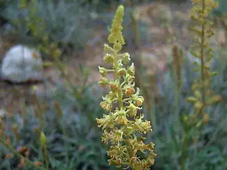 alternativní popis obrázku chybí