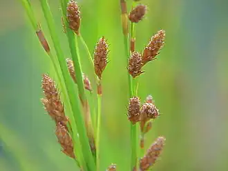 alternativní popis obrázku chybí