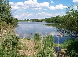 Pohled od vtoku Litovického potoka (2011)