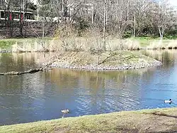 „Ptačí“ ostrůvek v západní části rybníka (jaro 2021)