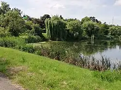 Celkový pohled na RN Ořech (léto 2021)