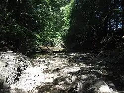 Přírodní rezervace Rezavka