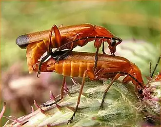 alternativní popis obrázku chybí