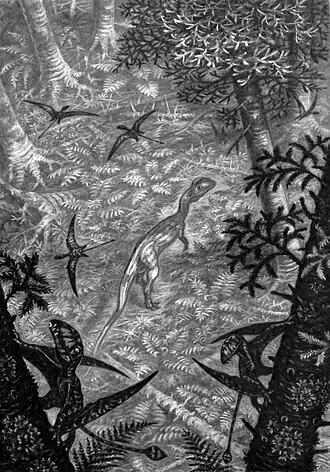 alternativní popis obrázku chybí