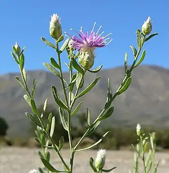 alternativní popis obrázku chybí