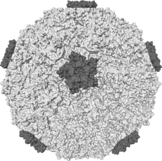 popis obrázku chybí