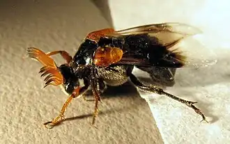 alternativní popis obrázku chybí