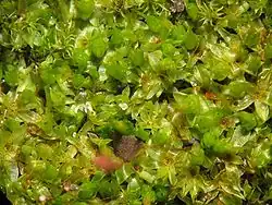 alternativní popis obrázku chybí