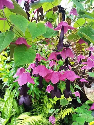 alternativní popis obrázku chybí