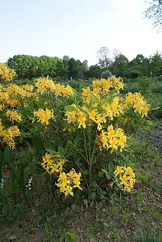 alternativní popis obrázku chybí