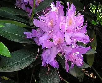 alternativní popis obrázku chybí