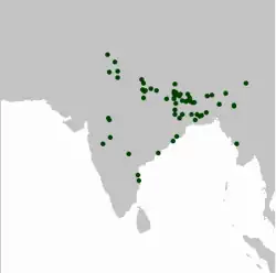 Výskyt kachny růžovohlavé