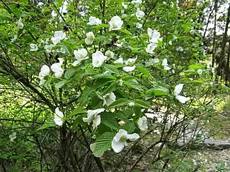 alternativní popis obrázku chybí