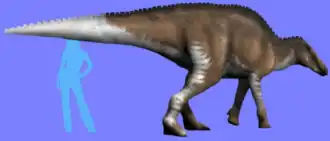 alternativní popis obrázku chybí