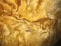 Detail stěny Riedelovy jeskyně