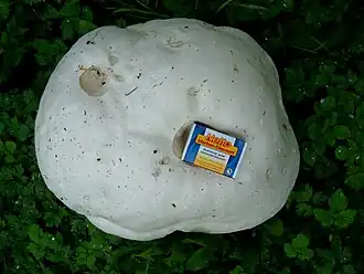 alternativní popis obrázku chybí