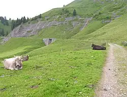 původní trasa trati