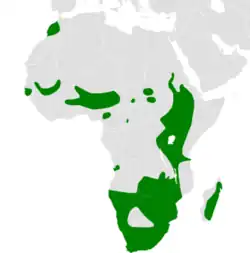 Areál rozšíření