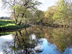 Derwent blízko Hathersage