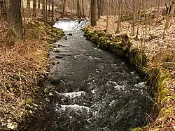 Rožanský potok při průtoku šluknovským katastrálním územím Rožany