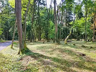 Zámecký park (2019)