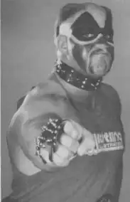Road Warriors Hawk v roce 1986
