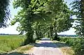 Alej u silnice k Stonařovu